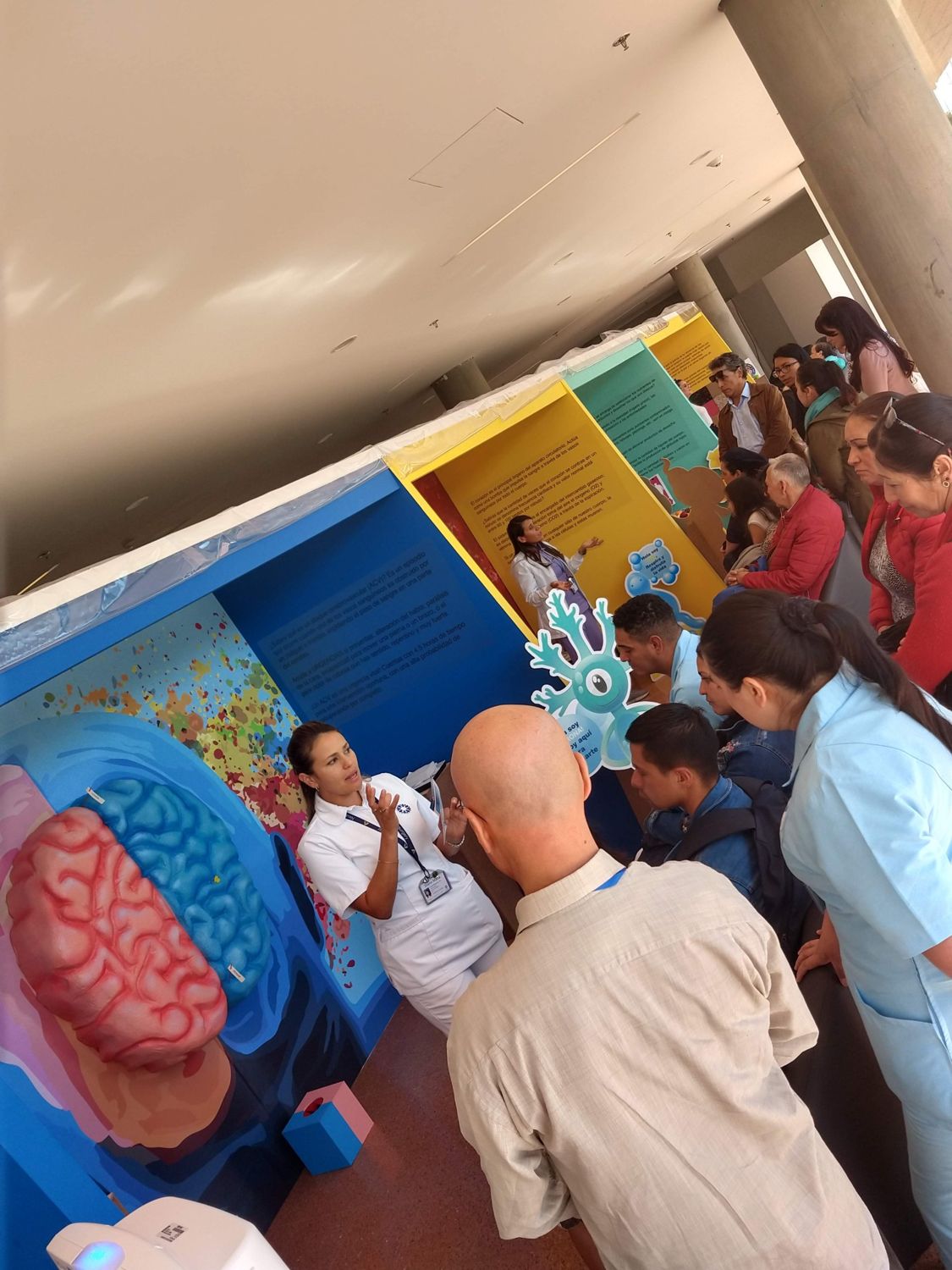 Una profesional de la salud explica a un grupo en una exposición educativa sobre el cerebro y el sistema circulatorio